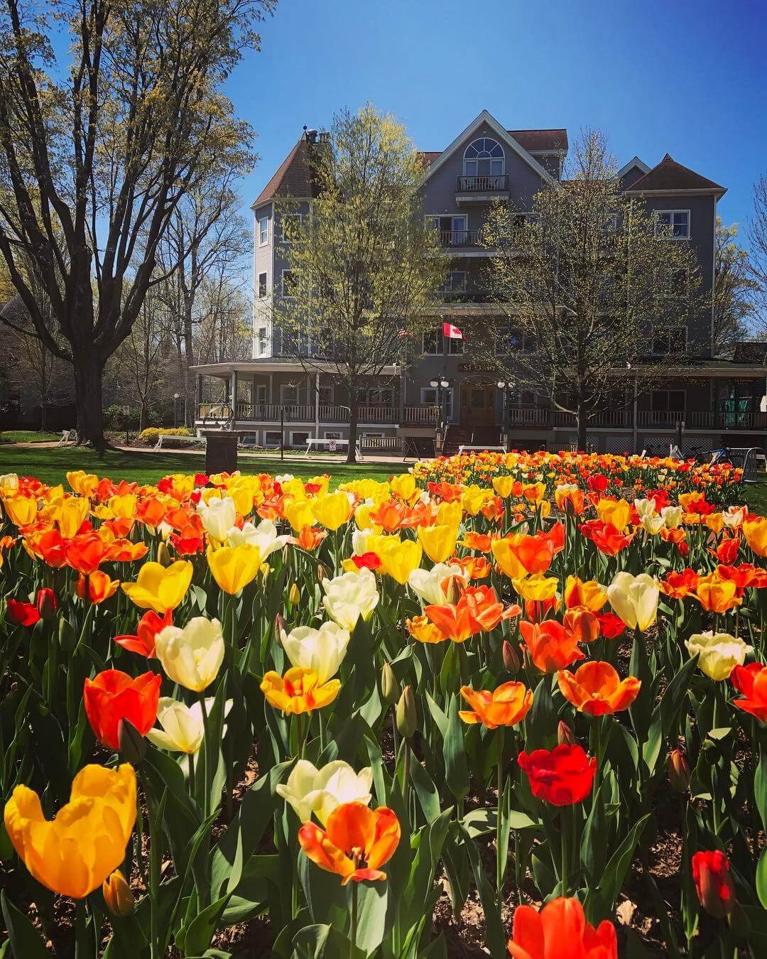 Chautauqua Institution Vacation Rentals Chautauqua Institution Vacation Rentals